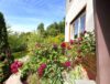 Solides Haus in herrlicher Umgebung - Rosen